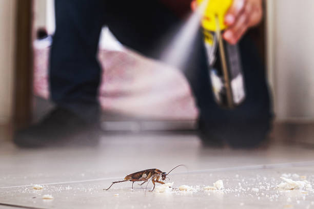 Reliable Burnt Store Marina, FL Pest Control Solutions